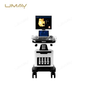 4D Trolley-Based Color Doppler Ultrasound System for Advanced Diagnostic Imaging-1