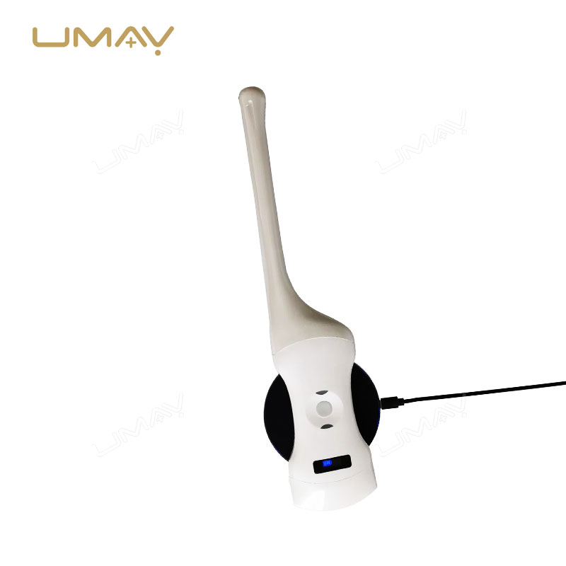 3-in-1 Wireless Color Doppler Ultrasound Scanner with Convex, Phased, and Transvaginal Array Probes