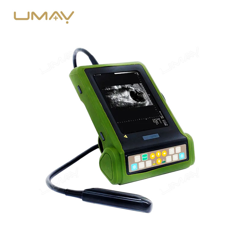 Handheld Veterinary Ultrasound Scanner for Pregnancy Diagnosis in Animals