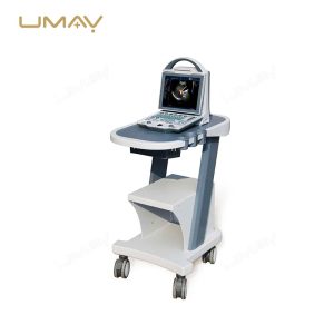 Portable 2D 3D 4D Doppler Ultrasound Machine for Human and Veterinary Use-3