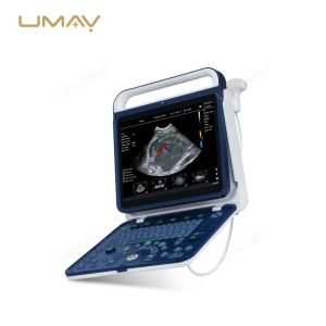 Portable Hand-Carried Veterinary Color Doppler Ultrasound Machine for Farm Use-1