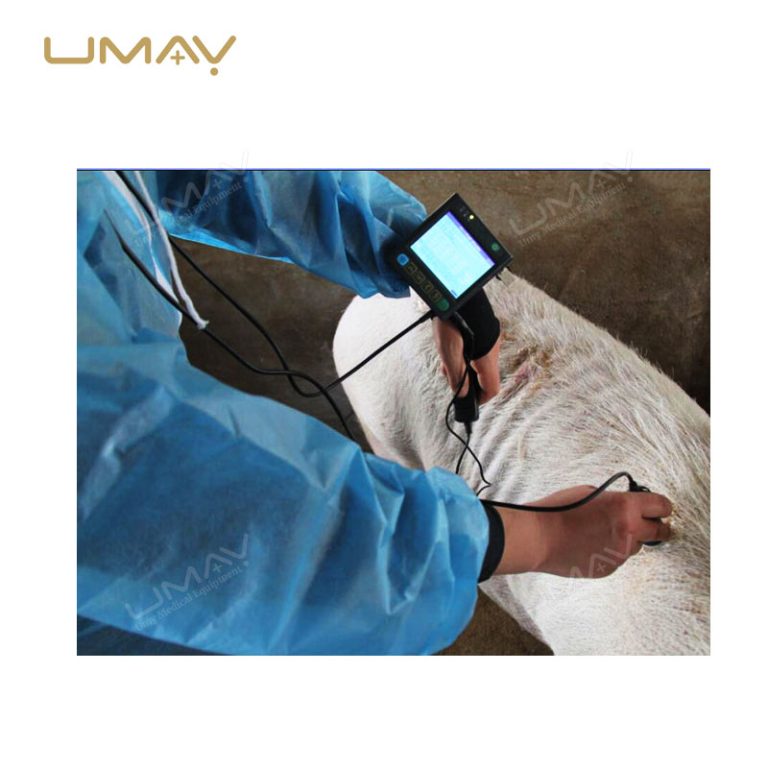 Portable Wrist-Type Full-Digital Mechanical Sector Ultrasound Scanner for Veterinary Use-2