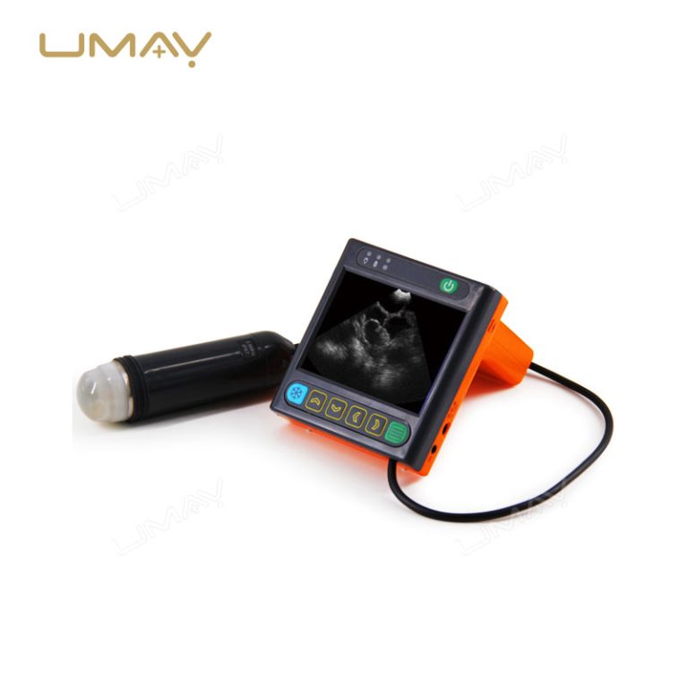 Portable Wrist-Type Full-Digital Mechanical Sector Ultrasound Scanner for Veterinary Use