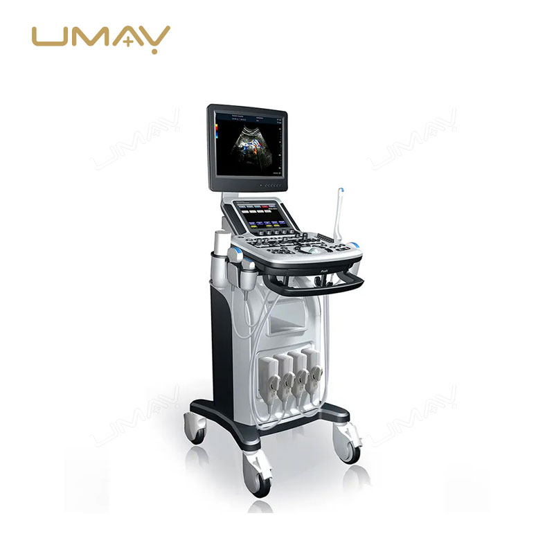 Veterinary Trolley 3D/4D Color Doppler Ultrasound Machine for Diagnostic Imaging