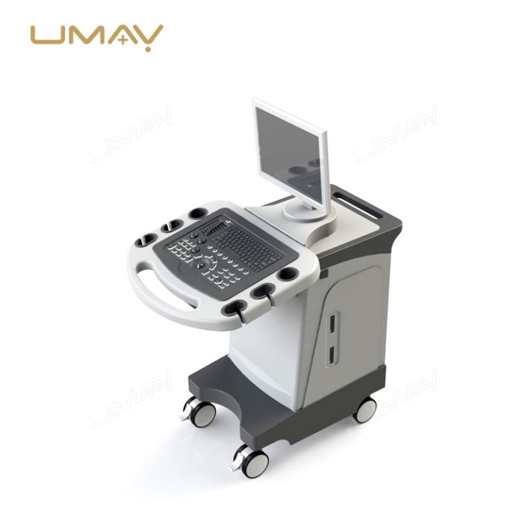 3D Imaging Color Ultrasound Machine with Linear and Convex Probes for Physical Therapy