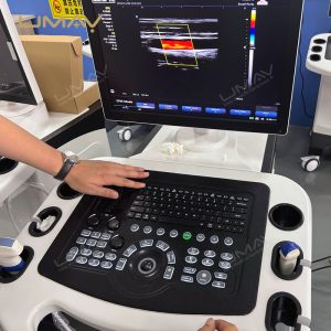 3D Imaging Color Ultrasound Machine with Linear and Convex Probes for Physical Therapy-2