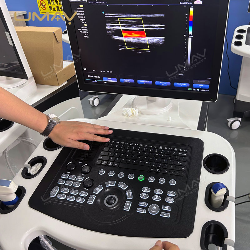 3D Imaging Color Ultrasound Machine with Linear and Convex Probes for Physical Therapy