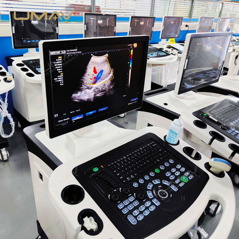 3D Imaging Color Ultrasound Machine with Linear and Convex Probes for Physical Therapy