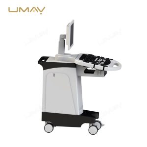 3D Imaging Color Ultrasound Machine with Linear and Convex Probes for Physical Therapy-4