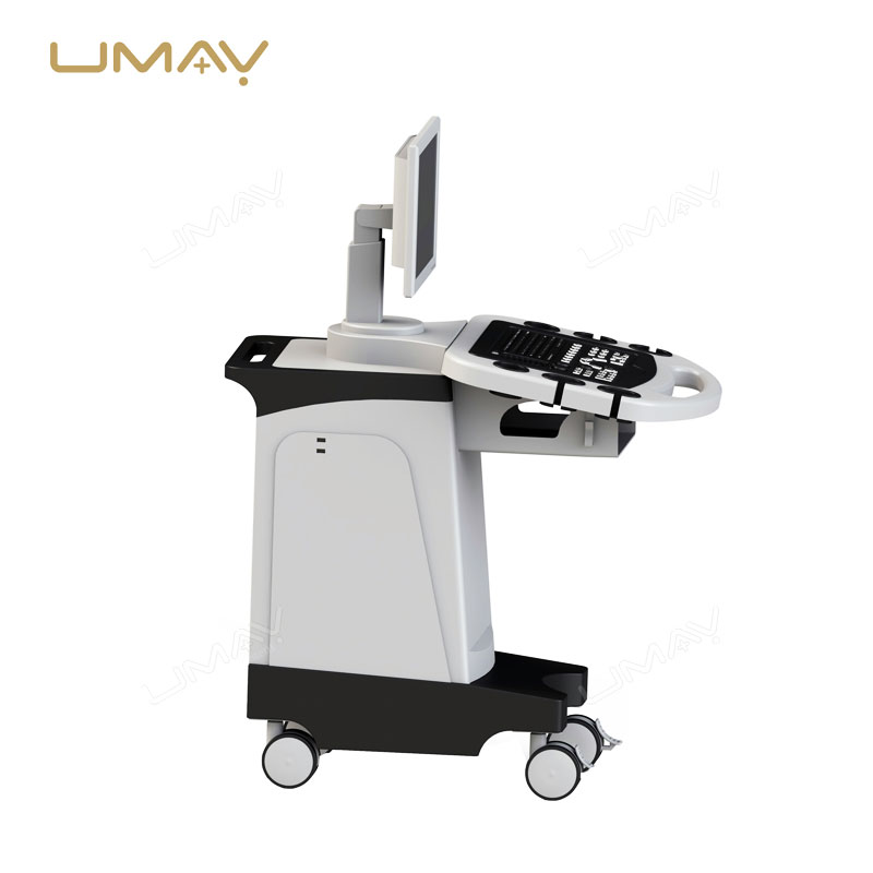 3D Imaging Color Ultrasound Machine with Linear and Convex Probes for Physical Therapy