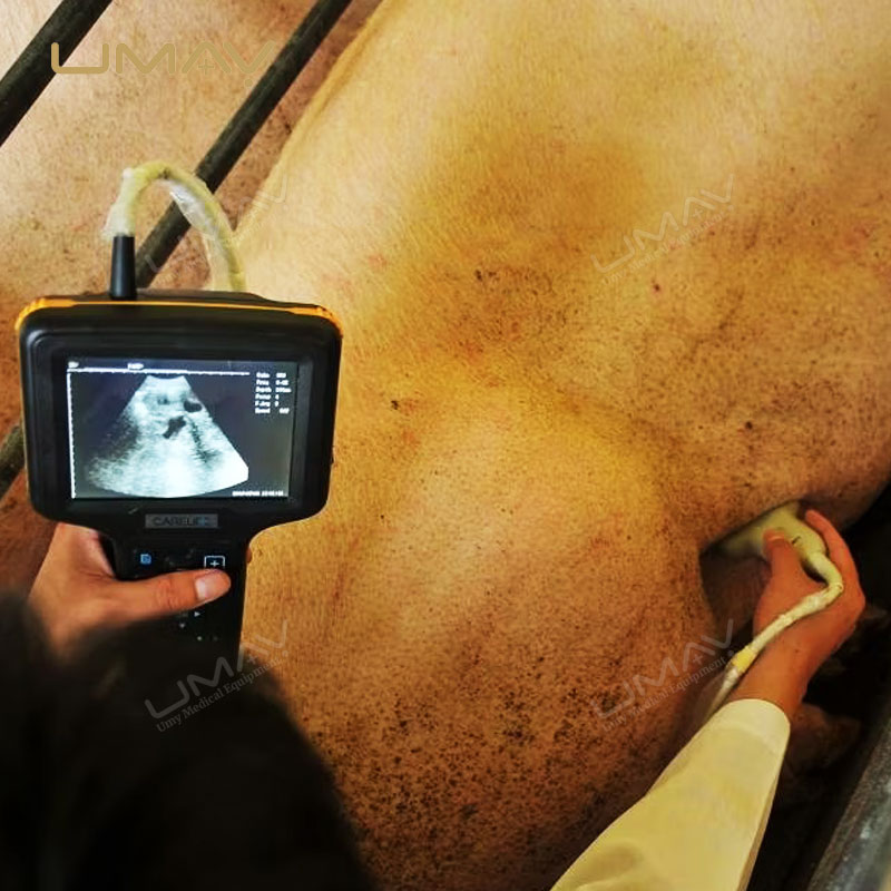 In-Demand Handheld Waterproof Veterinary Ultrasound Scanner