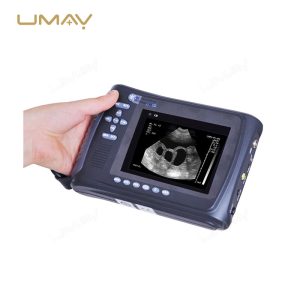 Portable B-Mode Sector Veterinary Ultrasound Scanner-3