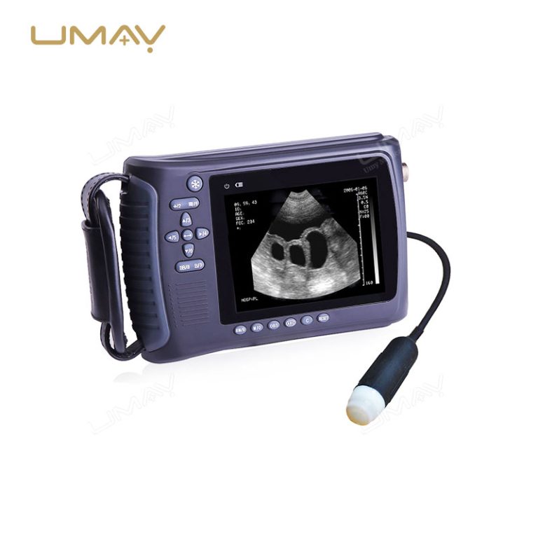 Portable B-Mode Sector Veterinary Ultrasound Scanner