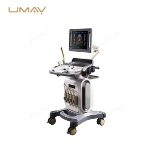 Trolley-Based 4D Full Digital Color Doppler Ultrasound Diagnostic Machine-3