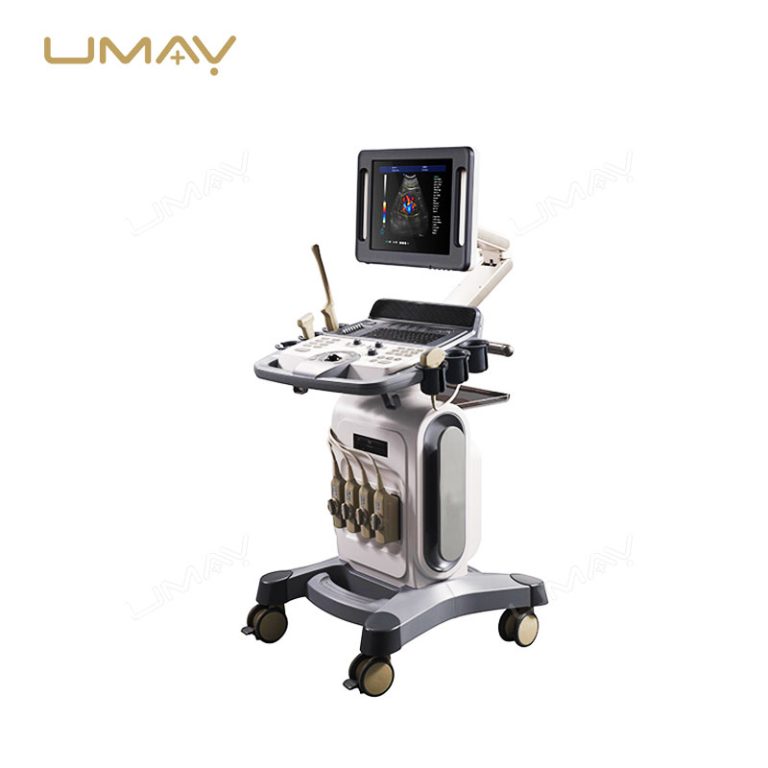 Trolley-Based 4D Full Digital Color Doppler Ultrasound Diagnostic Machine