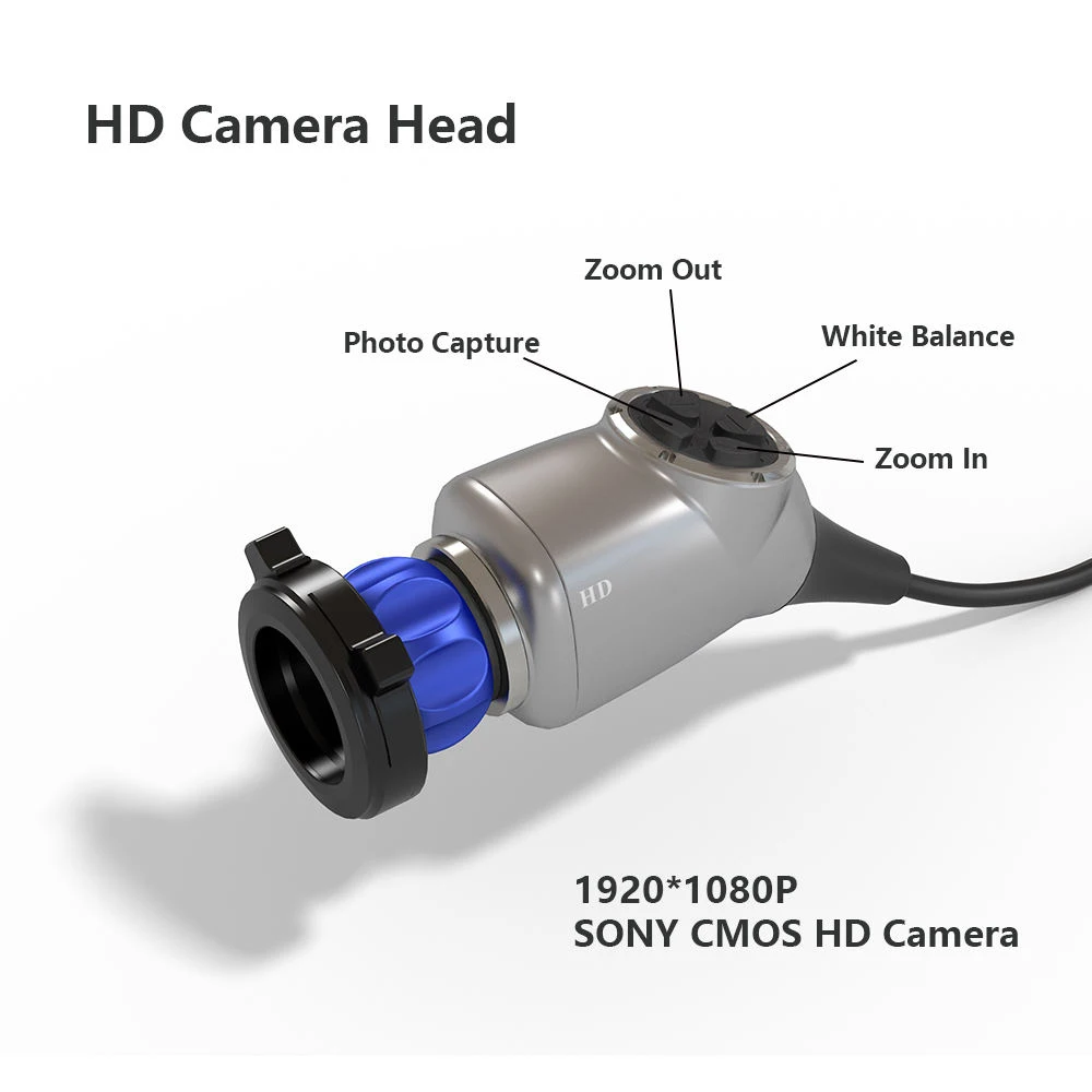 Portable Full HD Endoscope Camera System with 19-Inch Monitor and Cold Light Source