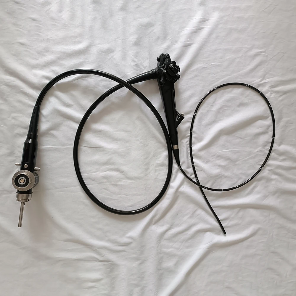 Flexible and Rigid Endoscope Set for Veterinary Surgical Instruments