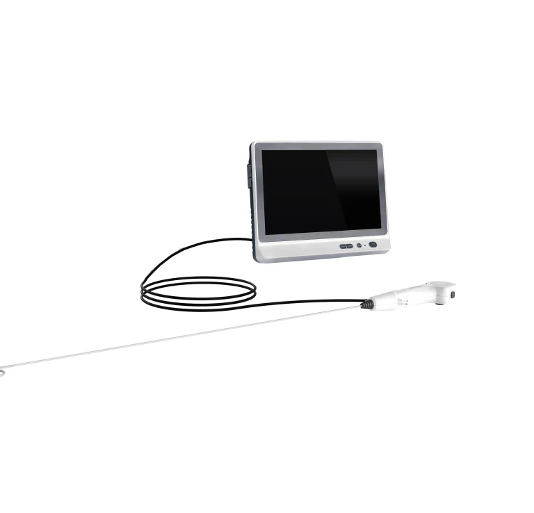 Highly Sought-After Flexible Disposable Electronic Ureteropelvic Endoscope