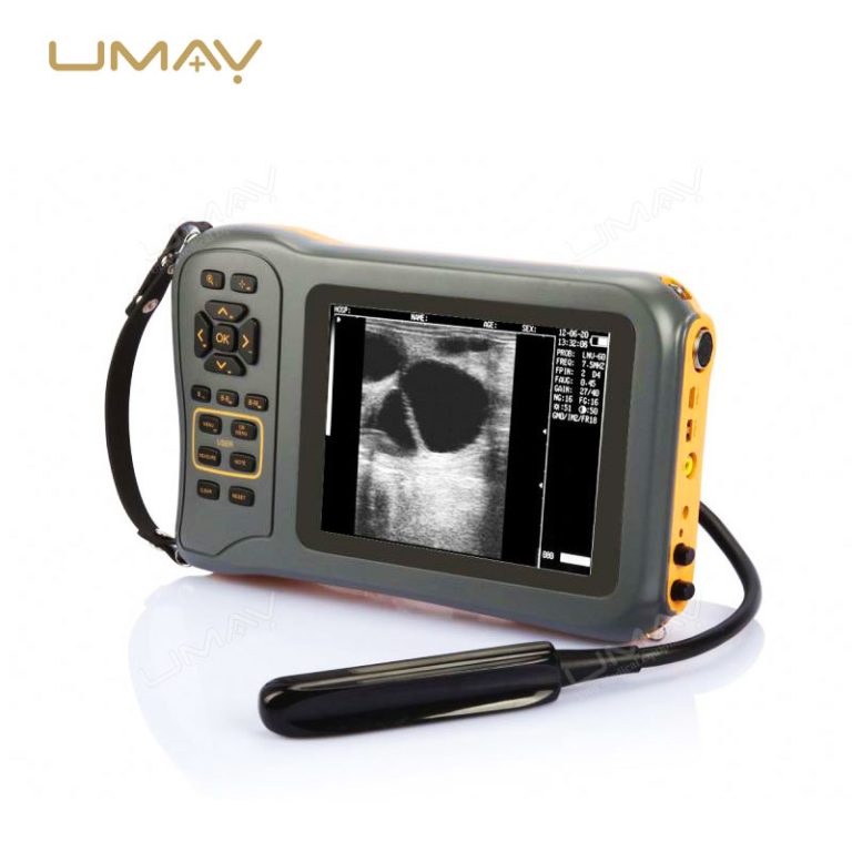 Cost-Effective Veterinary Portable Ultrasound Scanner for Animal Pregnancy Detection