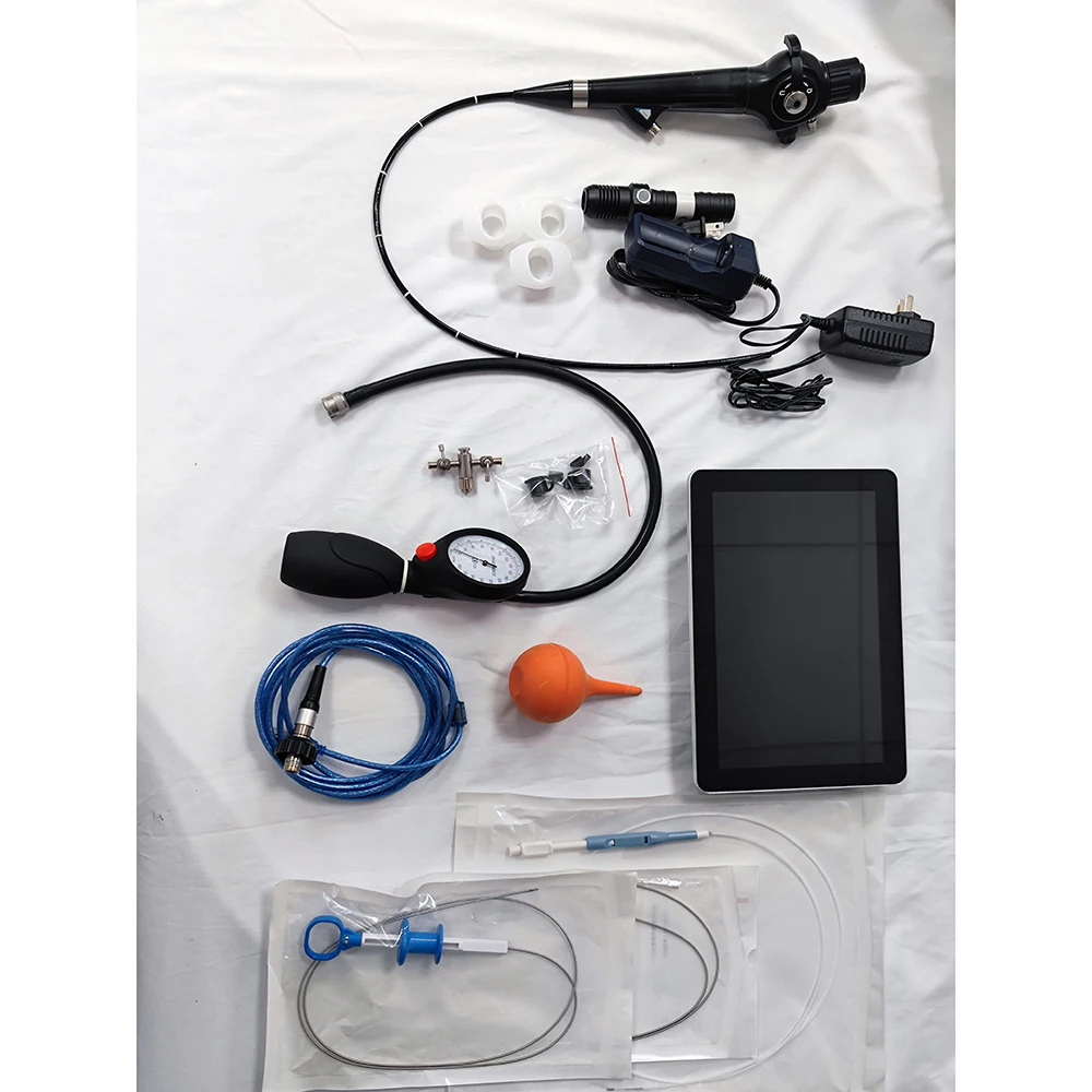 Multi-Function Portable Flexible Endoscope System with 10-Inch Touch Pad