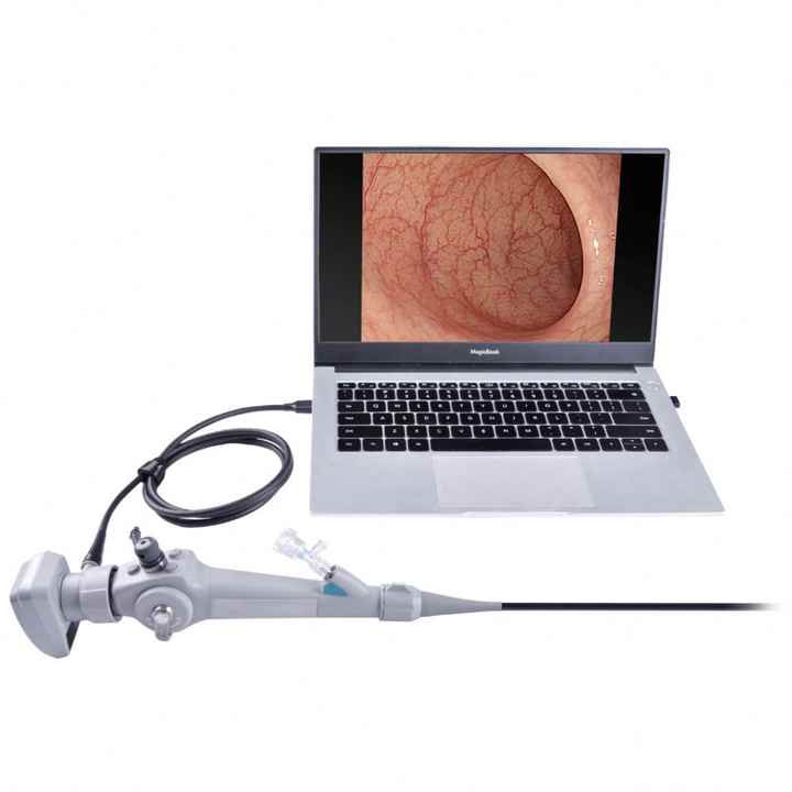 Portable USB Veterinary Endoscope for Upper and Lower Airway Endoscopy, Sinuscopy, Vaginoscopy, and Hysteroscopy