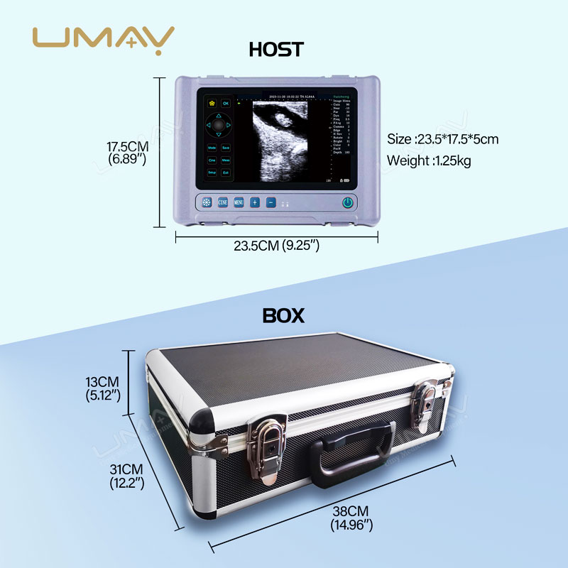 Portable Full Digital Veterinary Ultrasound Scanner with 8-Inch LCD for Premium Image Clarity