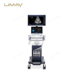 Budget-Wise Option P9 Color Doppler Ultrasound Machine for Clinic-2