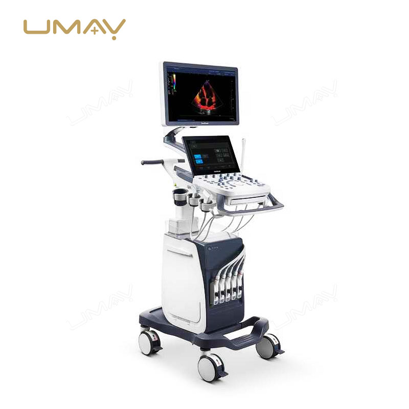 Budget-Wise Option P9 Color Doppler Ultrasound Machine for Clinic