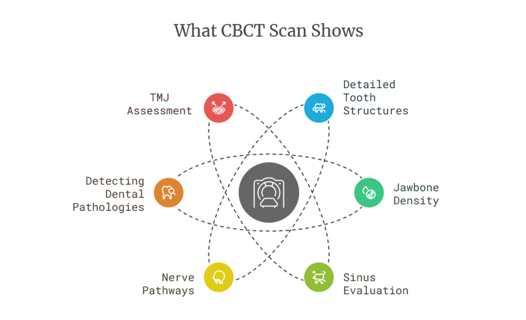 Infographic showing what a CBCT scan reveals, including TMJ assessment, detailed tooth structures, jawbone density, sinus evaluation, nerve pathways, and dental pathologies.